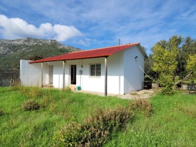 Agricultural property with 1 floor house