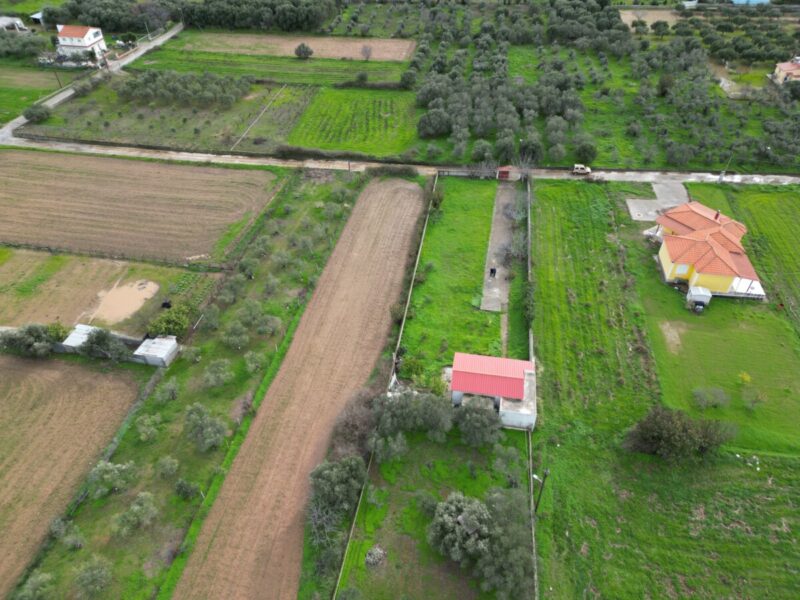 Agricultural property with 1 floor house
